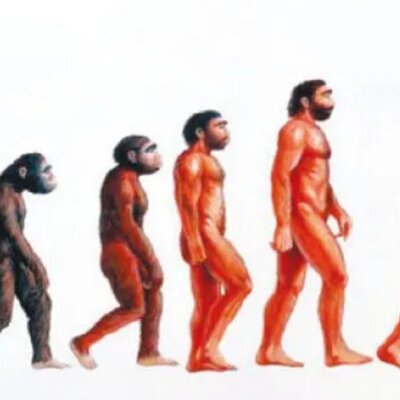 Timeline: Proceso de hominización