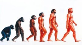 Timeline: Proceso de hominización