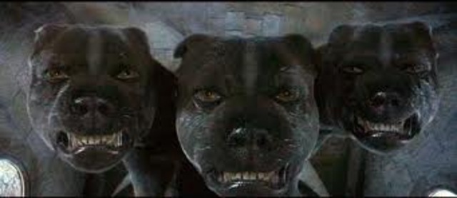 8	Harry, Ron, and Hermione discover a trap door guarded by a three headed dog named Fluffy.