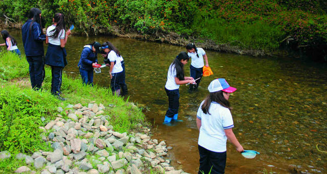 Educación Ambiental en Colombia
