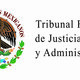 Escudo tfjfa color.jpg