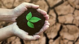 Timeline: Derrotero de la gestión ambiental en México