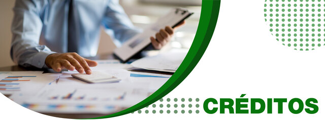 Ley de depuración de créditos