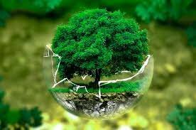 Creación de la "Ley Federal para la Protección al Ambiente"