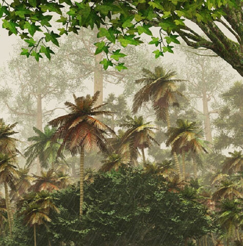 Comença la vida terrestre