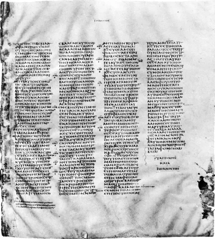 Codex