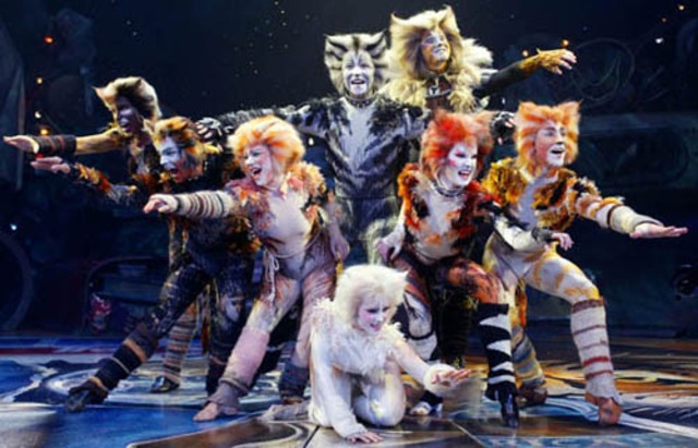 Cats opens on Broadway.