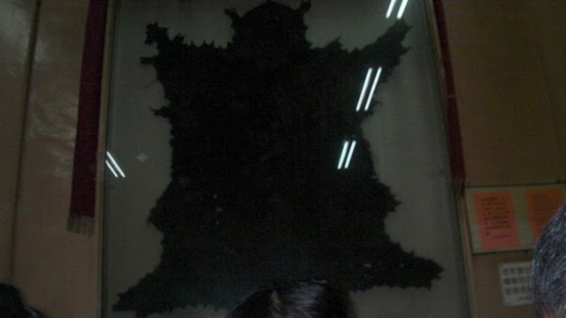 Last tiger in Hong Kong was shot.