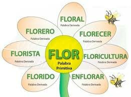 Semana 3. Formación de palabras