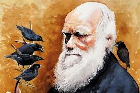 El origen de las especies