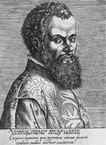 VESALIO