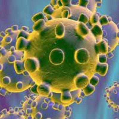 Timeline: Historia de la virología