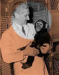 Transimión experimental