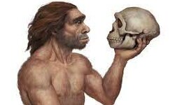 Timeline: Liniea del temps