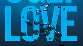 Timeline: Ugly Love - Colleen Hoover