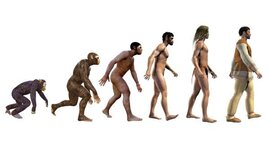 Timeline: Homínidos