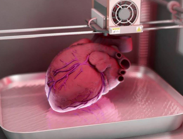 ÓRGANOS ARTIFICIALES