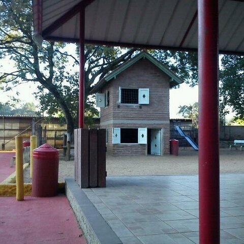 First day in first grade