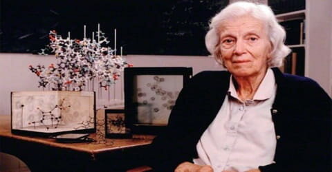 Professor of the Royal Society at Wolfson