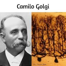CAMILLO GOLGI (1843 - 1926)