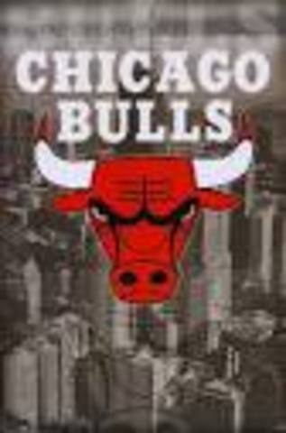 The Chicago Bulls
