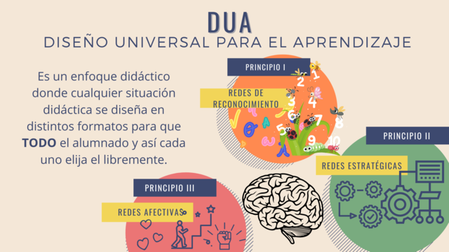 Disseny Universal d'Aprenentatges i Intensitat de Suports