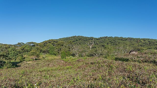 Área protegida más antigua