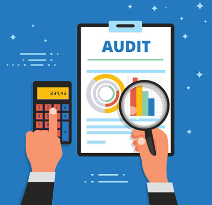 Management Audit System
