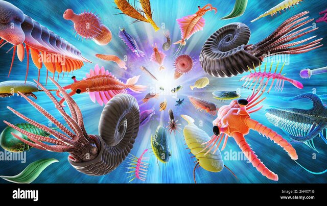 EXPLOSIÓN CÁMBRICA 540 MILLONES DE AÑOS