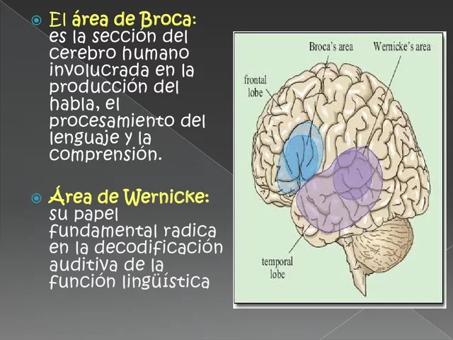 Conectivismo