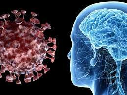 (2020) UNIVERSITY COLLEGE DE LONDRES