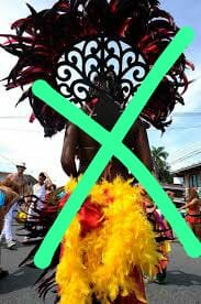 Carnavales de limón