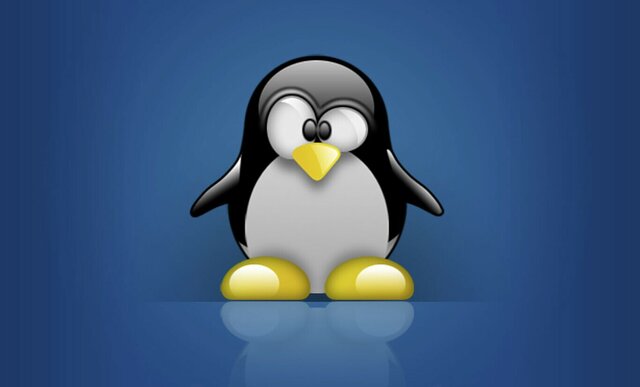 el sistema operativo favorito de los usuarios es linux IBM, HP, Dell y Compaq ofrecen servicios a linux linux tiene el dominio del mercado web