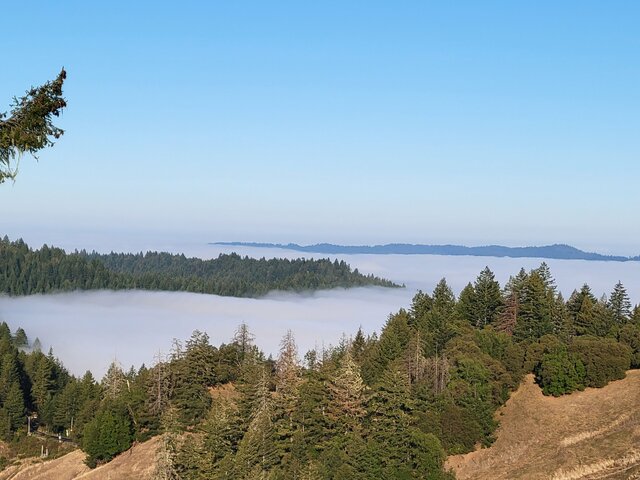 County Library Advisory Board Created