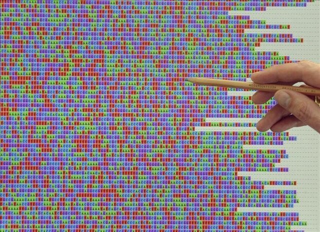 Finalización del Proyecto del Genoma Humano