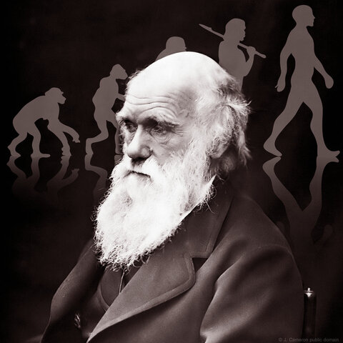 Charles Darwin publica "El origen de las especies".