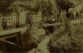 Se funda la socieda el zancudo (TEORIA CIENTIFICA)