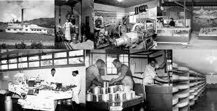 Nace alpina (TEORIA DEL COMPORTAMIENTO)