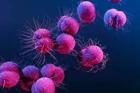 Proyecto Genoma Humano