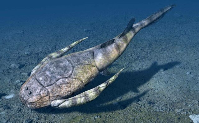 500 MILLONES DE AÑOS, PECES Y PROTOANFIBIOS