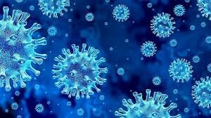 PRIMER CASO DE COVID-19