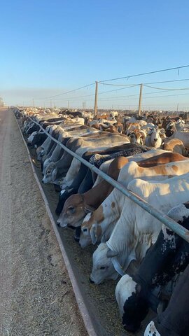 Jorge Lozano Peralta