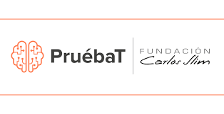 Plataforma virtual Pruebat: