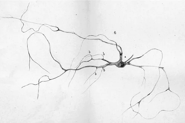 Otto Friedrich Dieters (1834-1863)