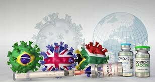 Las variantes del COVID-19