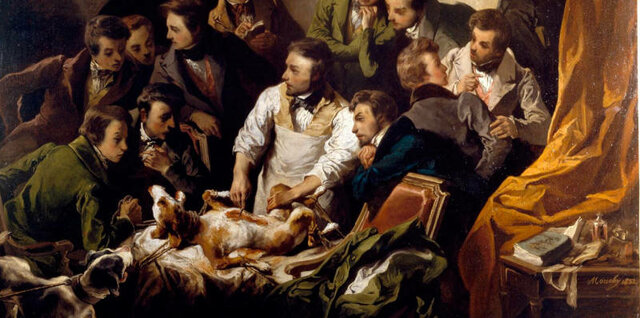 Licencias para la Vivisección