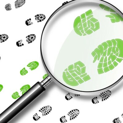 Timeline: Etapa inicial (Investigación complementaria)