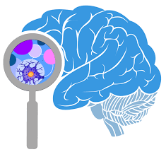 Término "Neurociencias"