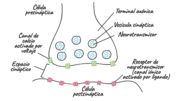 Finales del siglo XIX.