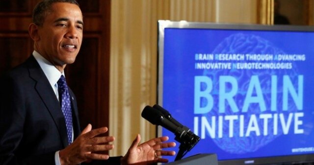 2013. Proyecto BRAIN.